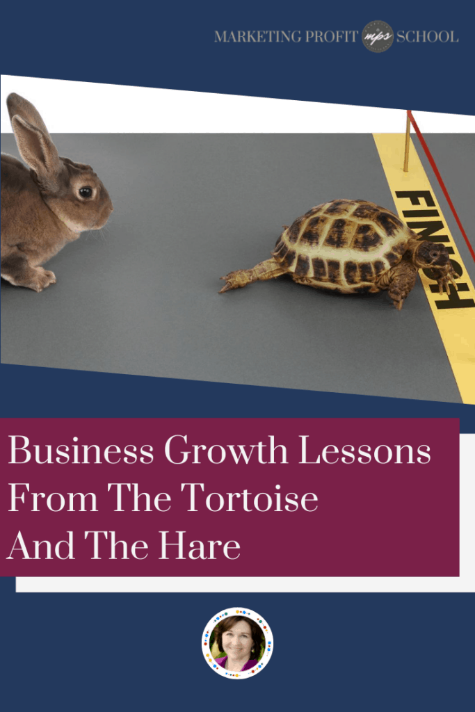 Business Growth Lessons From The Tortoise And The Hare • Marketing ...